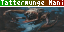 MTG Scry One app preview