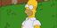 Homer Hiding app preview